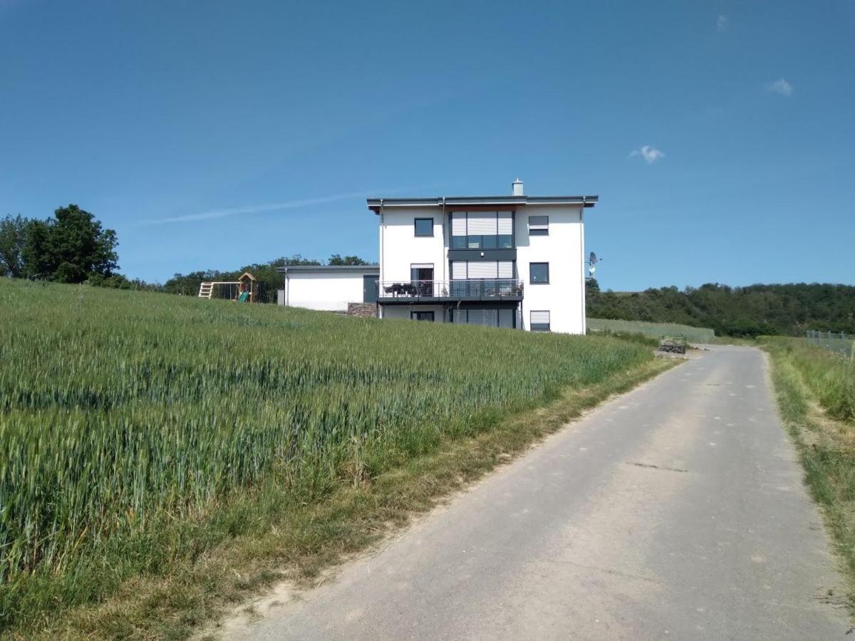 Ferienbauernhof Neumuehle Apartment Gappenach Exterior photo